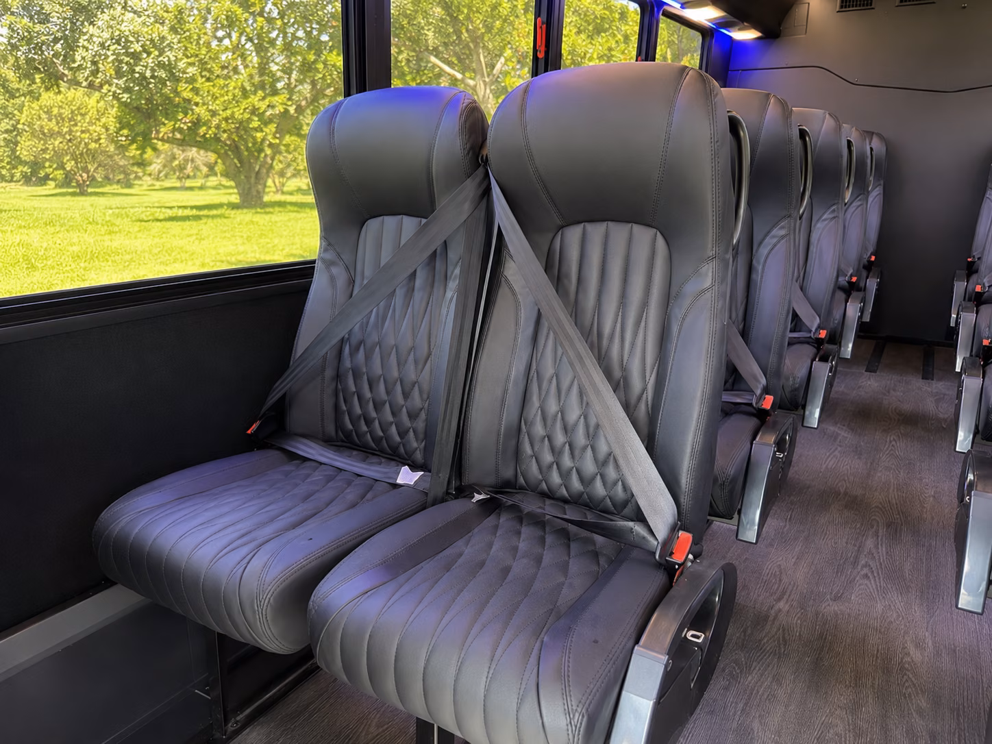 turlock enjoy music lights and fun with turlock party bus rentals
